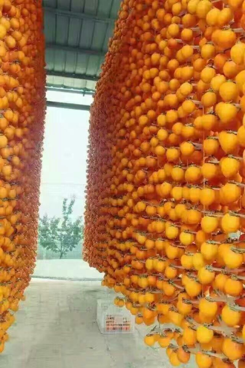 柿饼1~2两