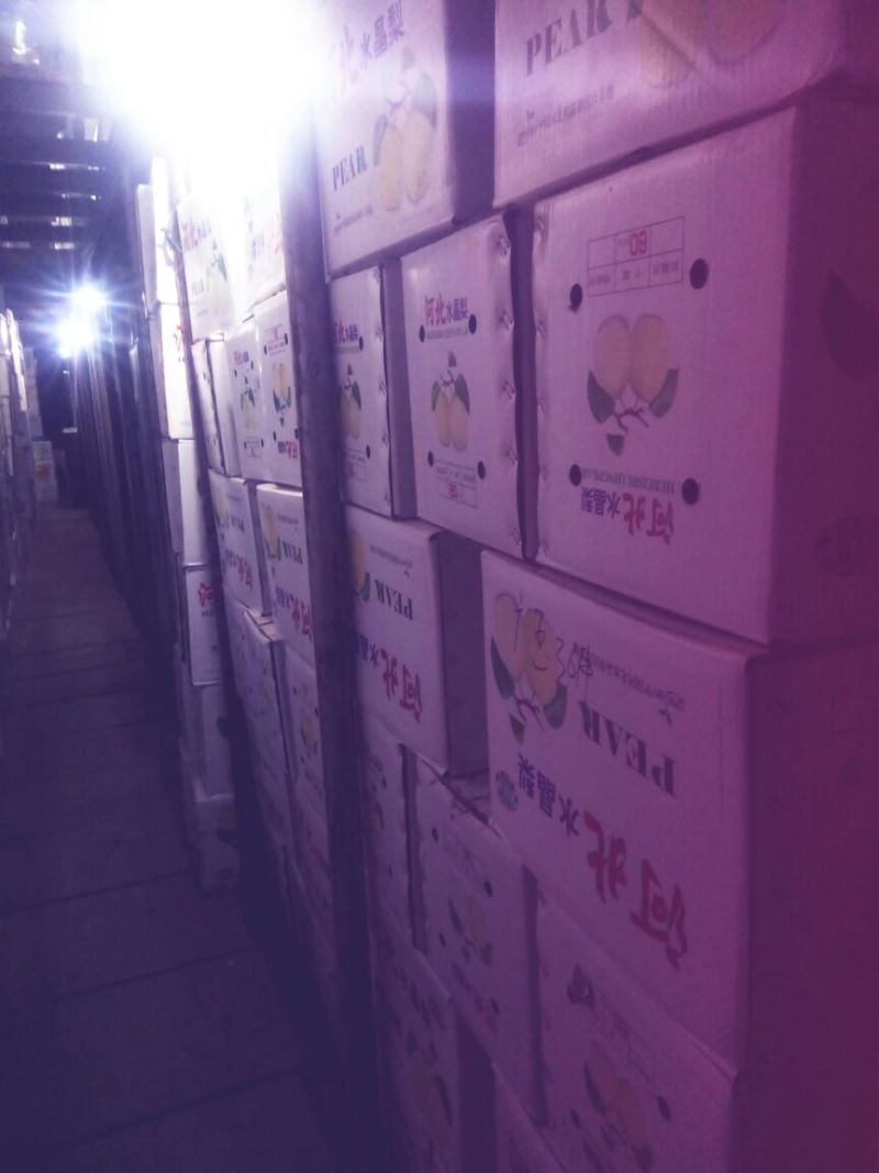 鸭梨250~300g纸箱