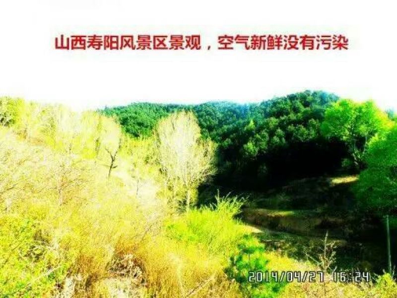 葡萄酒