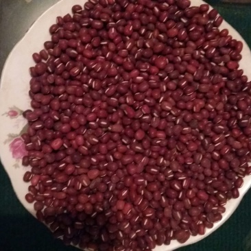 红小豆袋装