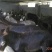 育肥驴200~400斤