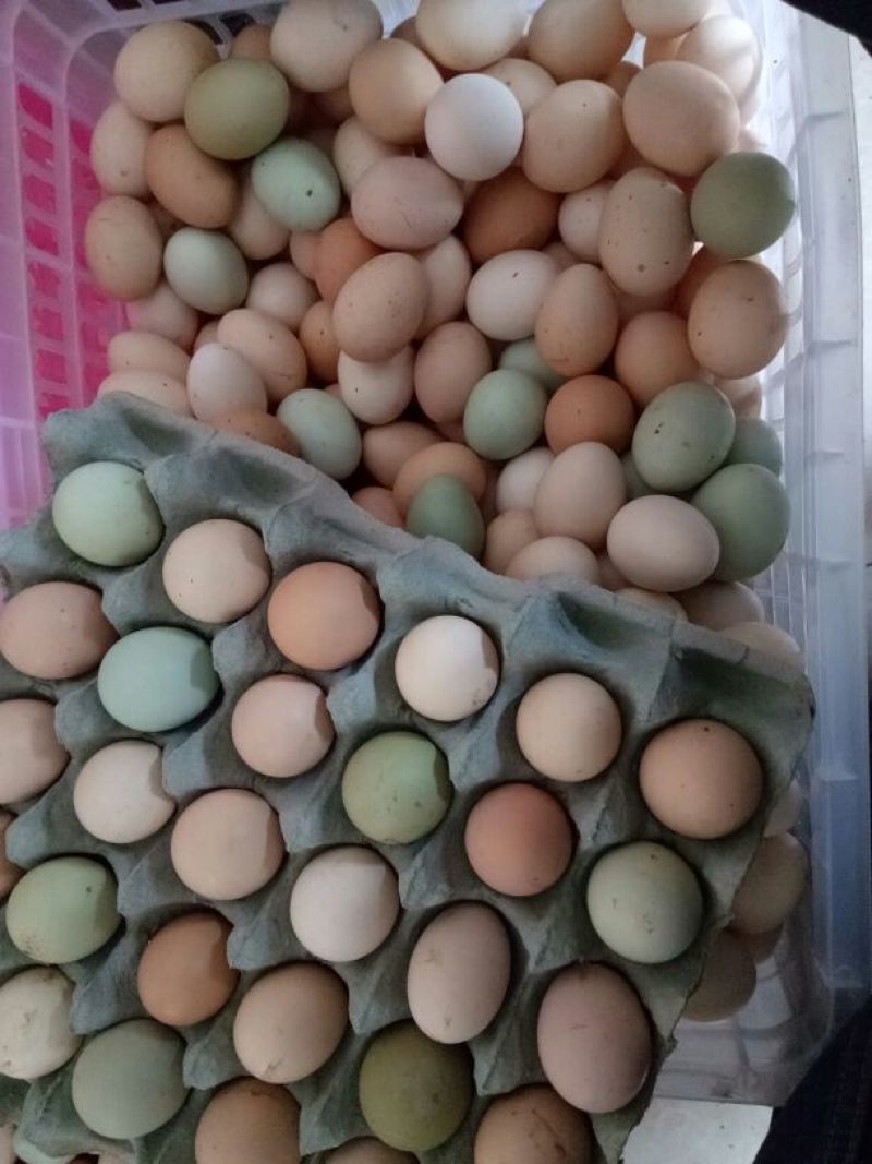 土鸡蛋食用40~50g