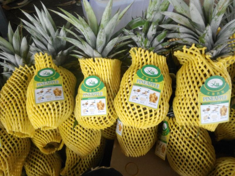 金钻十七号凤梨2.5~3斤