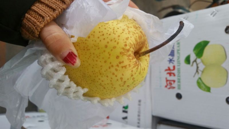 雪花梨450~500g纸箱