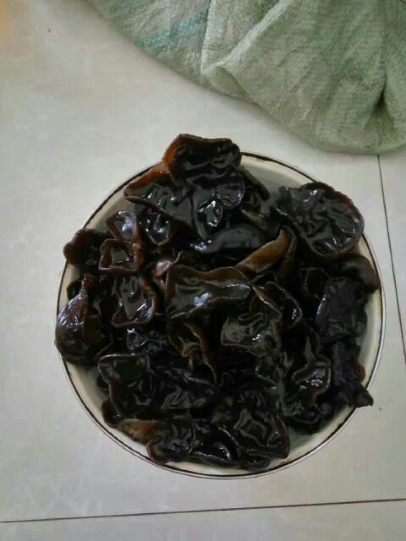 秋耳二级