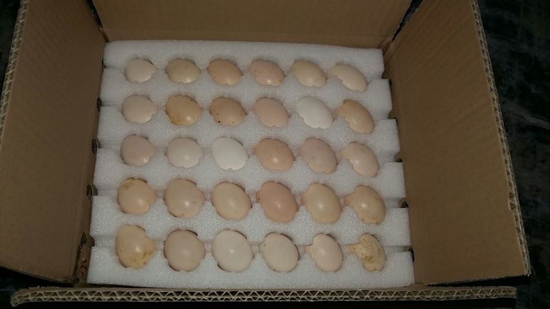 土鸡蛋食用50g以下