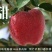花牛75mm以上光果