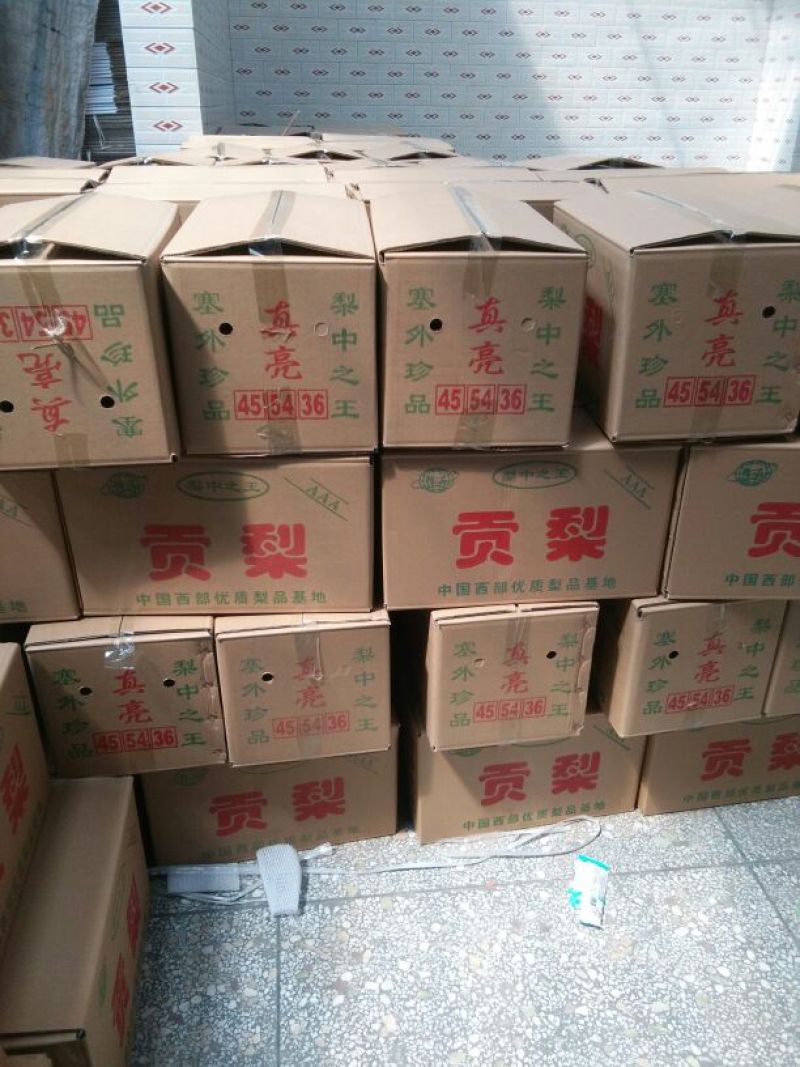 梨光果300~350g