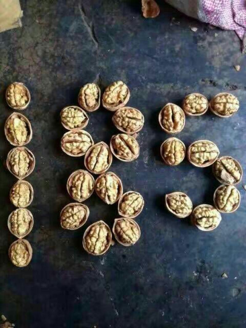 新疆纸皮核桃185皮薄仁厚手捏即开