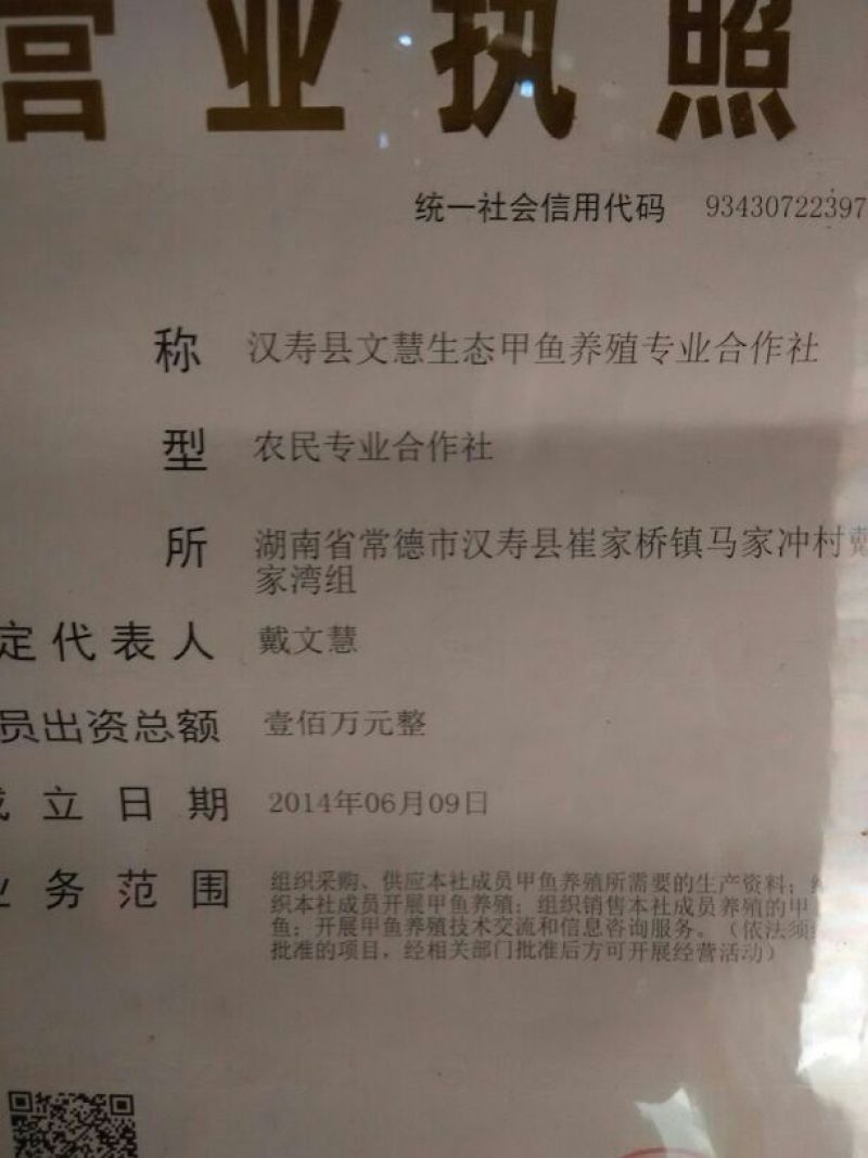 中华鳖养殖专业合作社，常年供应四两以上甲鱼苗，