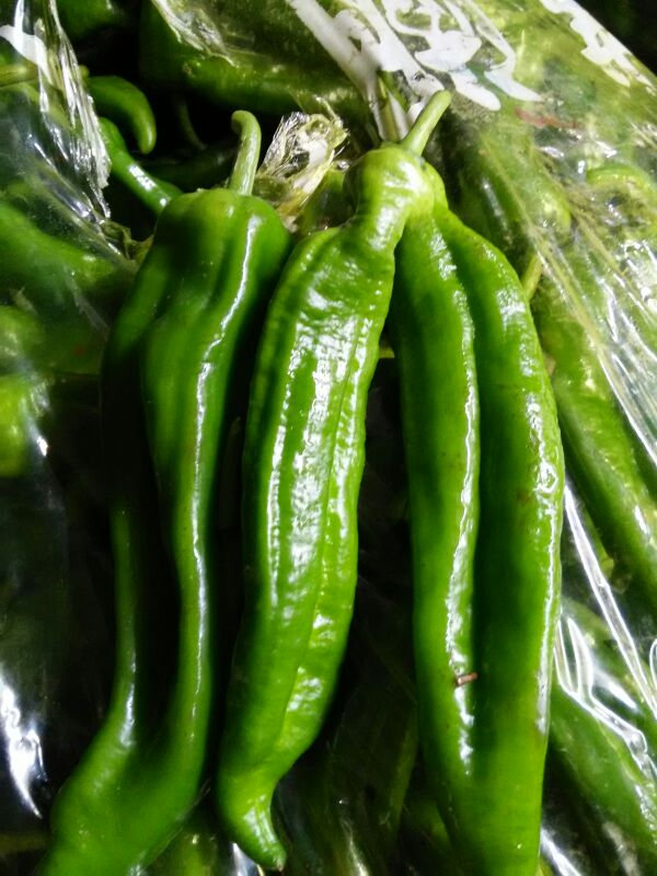 大青椒江苏盐城东台市_批发_供应-一亩田农业