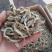 毛花鱼干