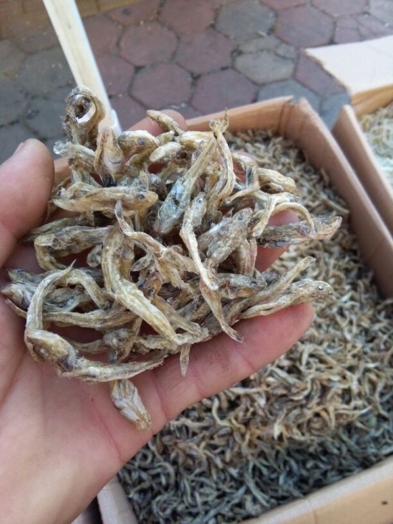 毛花鱼干
