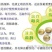 罗汉果大果