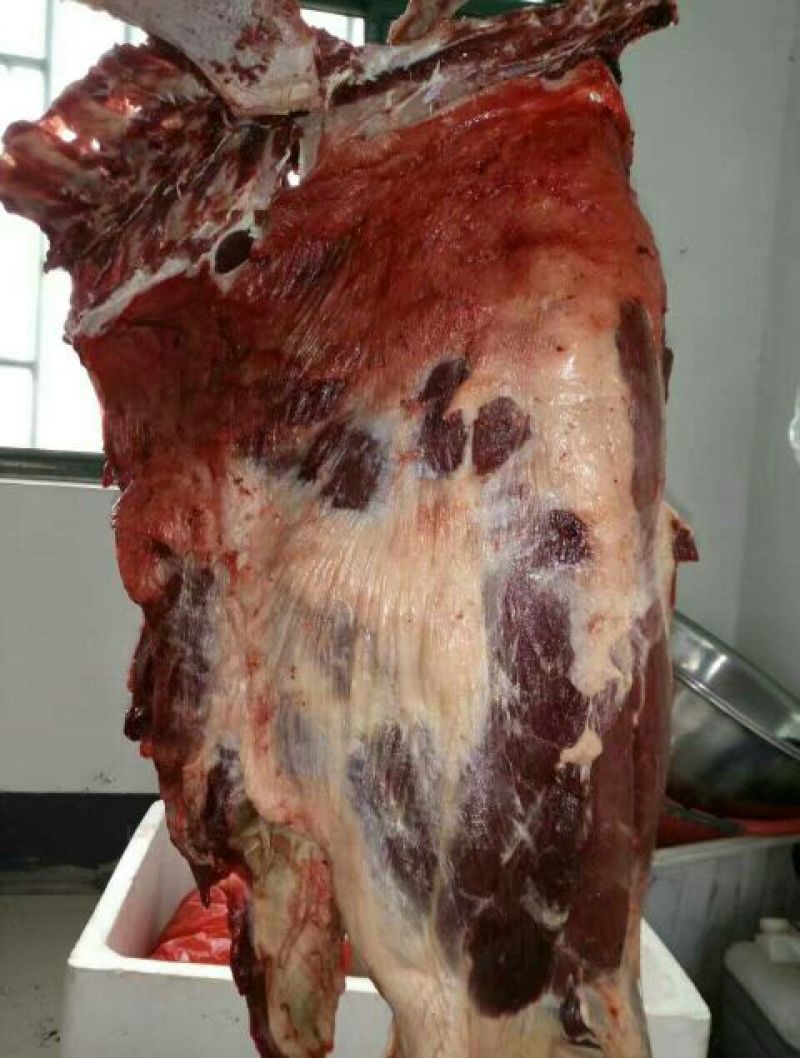 驴肉鲜货，货发全国，质量好