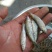 河虾冰鲜虾26~30只/kg