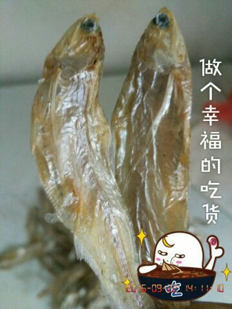 毛花鱼干