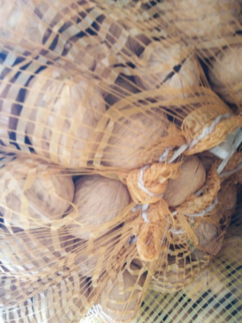 薄皮核桃去皮