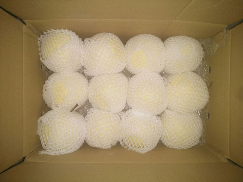 砀山梨300~350g纸箱
