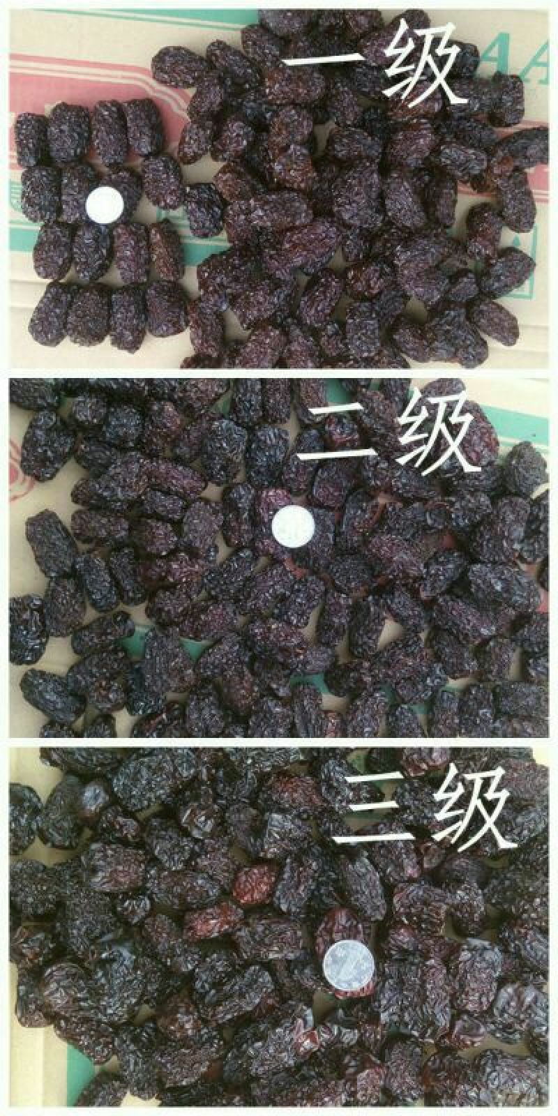 黑枣山西二级黑枣乌枣