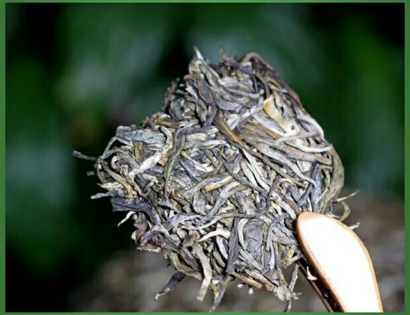 普洱茶