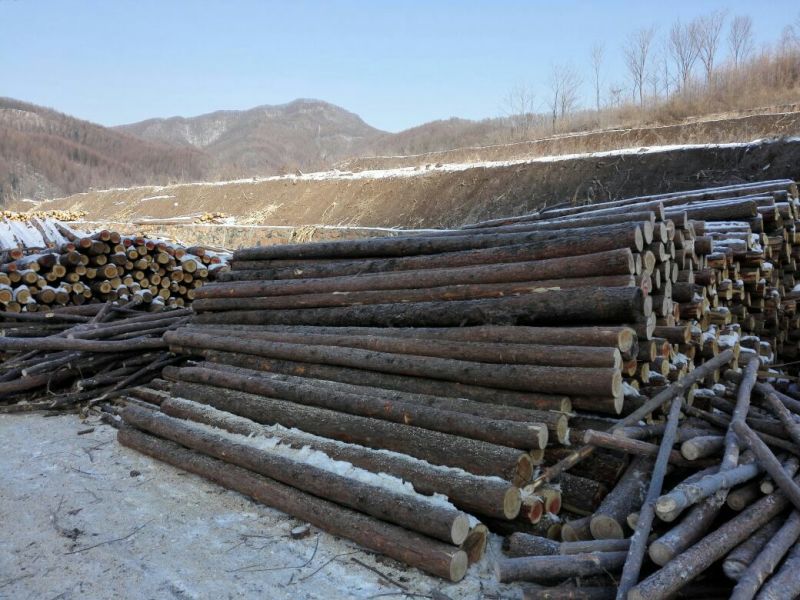 松木桩原木加工仿古建筑代加工木杆植树杆大棚杆等