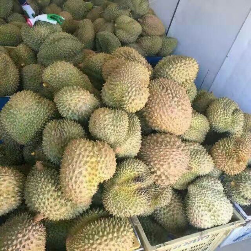 泰国榴莲5~8斤
