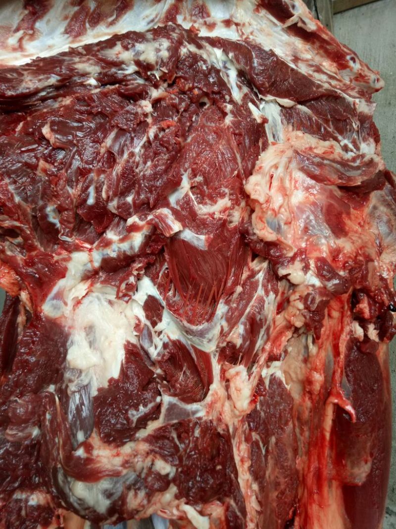 驴肉鲜货