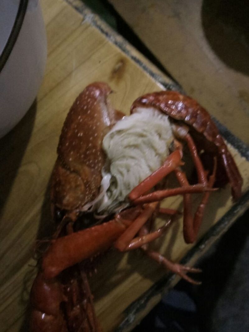 罗氏沼虾食用8~10钱活虾