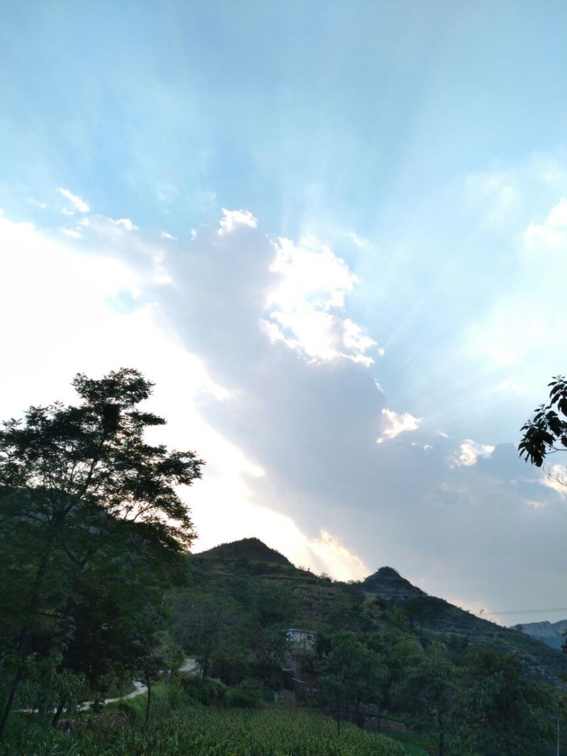 红薯粉面颗粒