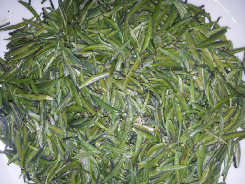 绿茶