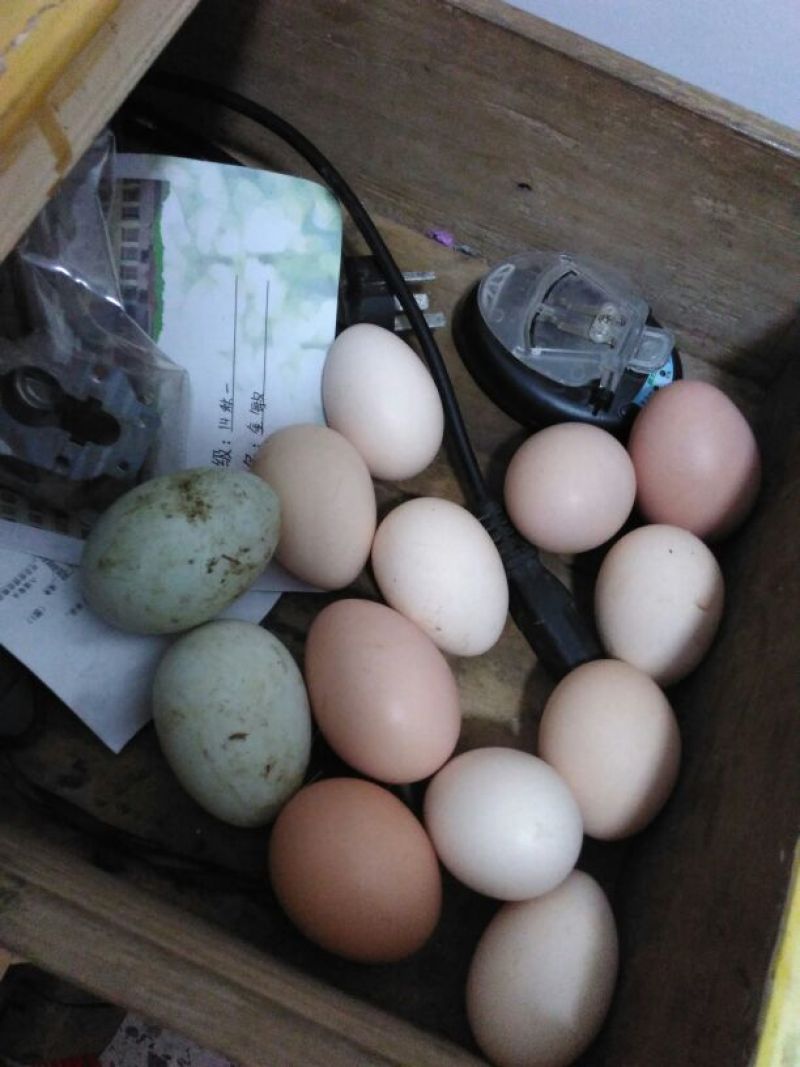 土鸡蛋食用50~60g