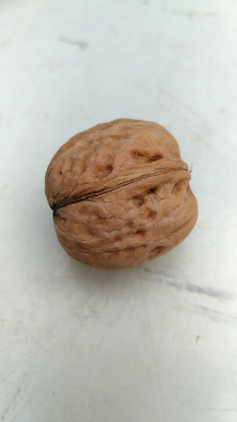 薄皮核桃去皮