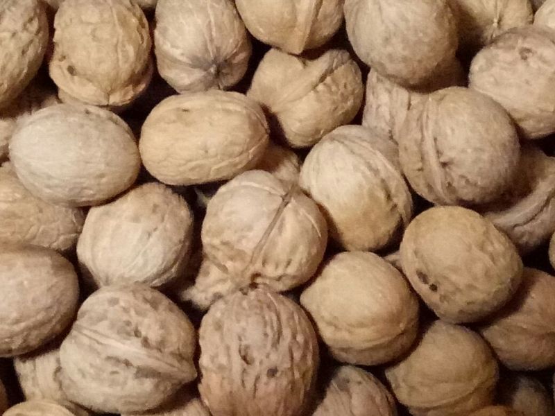 薄皮核桃30mm以上去皮干