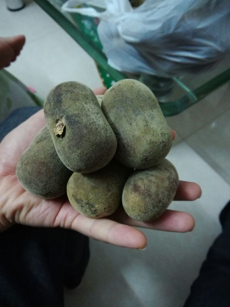 化橘红化州人工种植干货