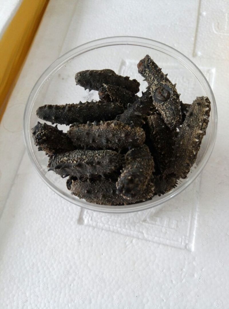 海参食用即食