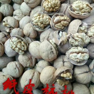 纸皮核桃去皮干