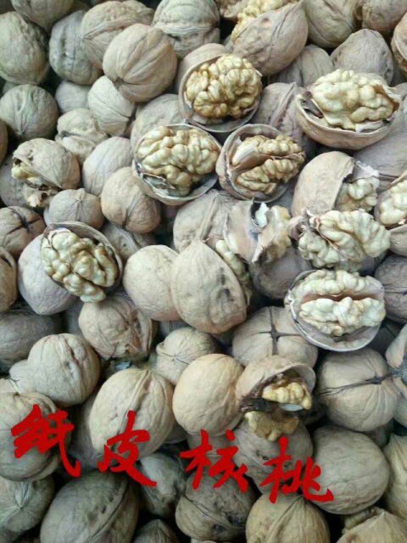 纸皮核桃去皮干