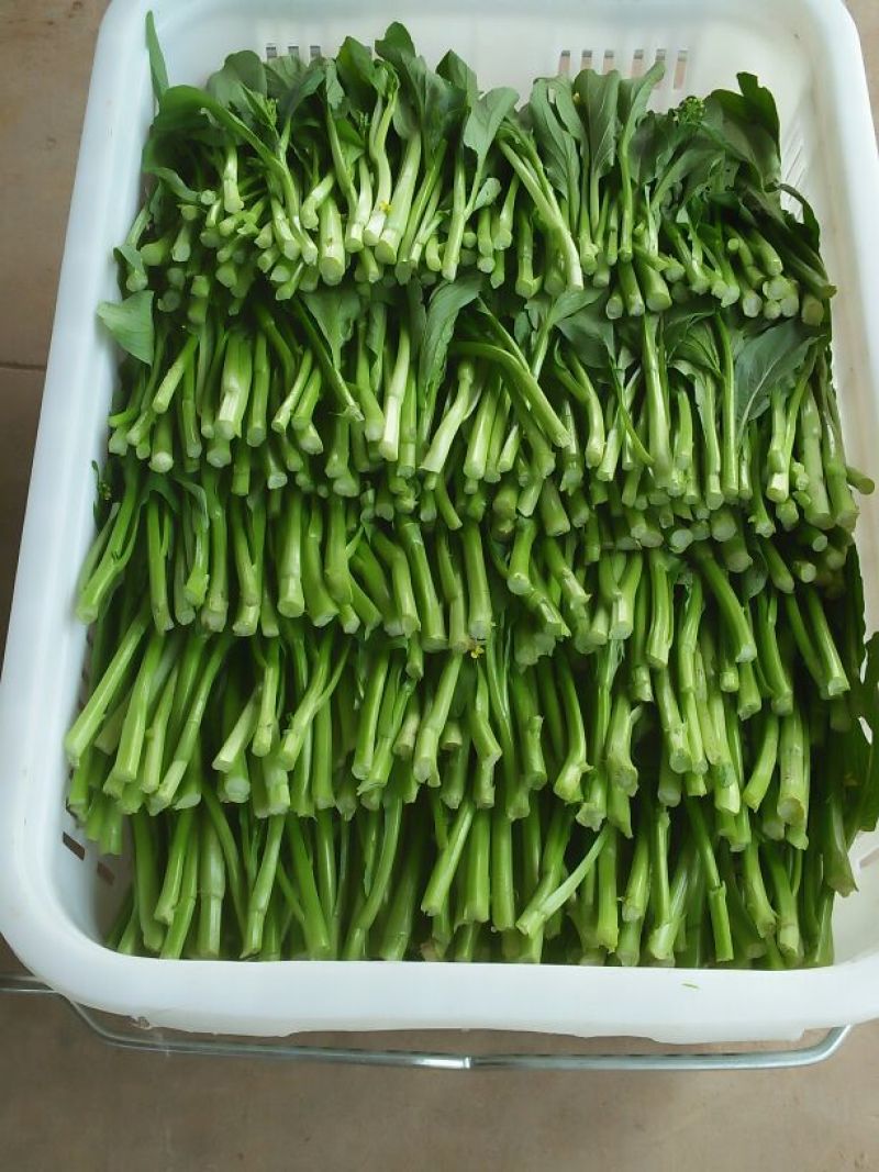 蔬菜