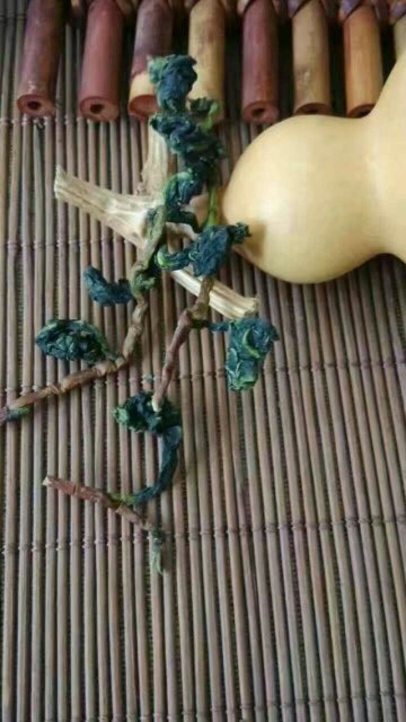 观音茶特级