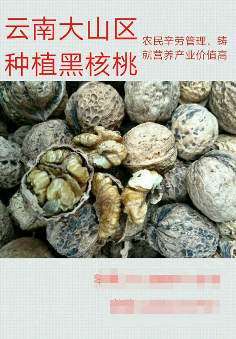 山核桃30mm以上去皮干
