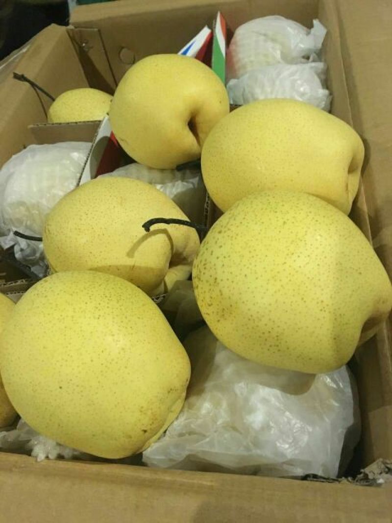 雪花梨450~500g纸箱