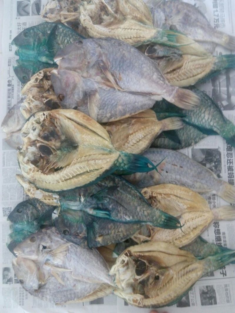 鱼干