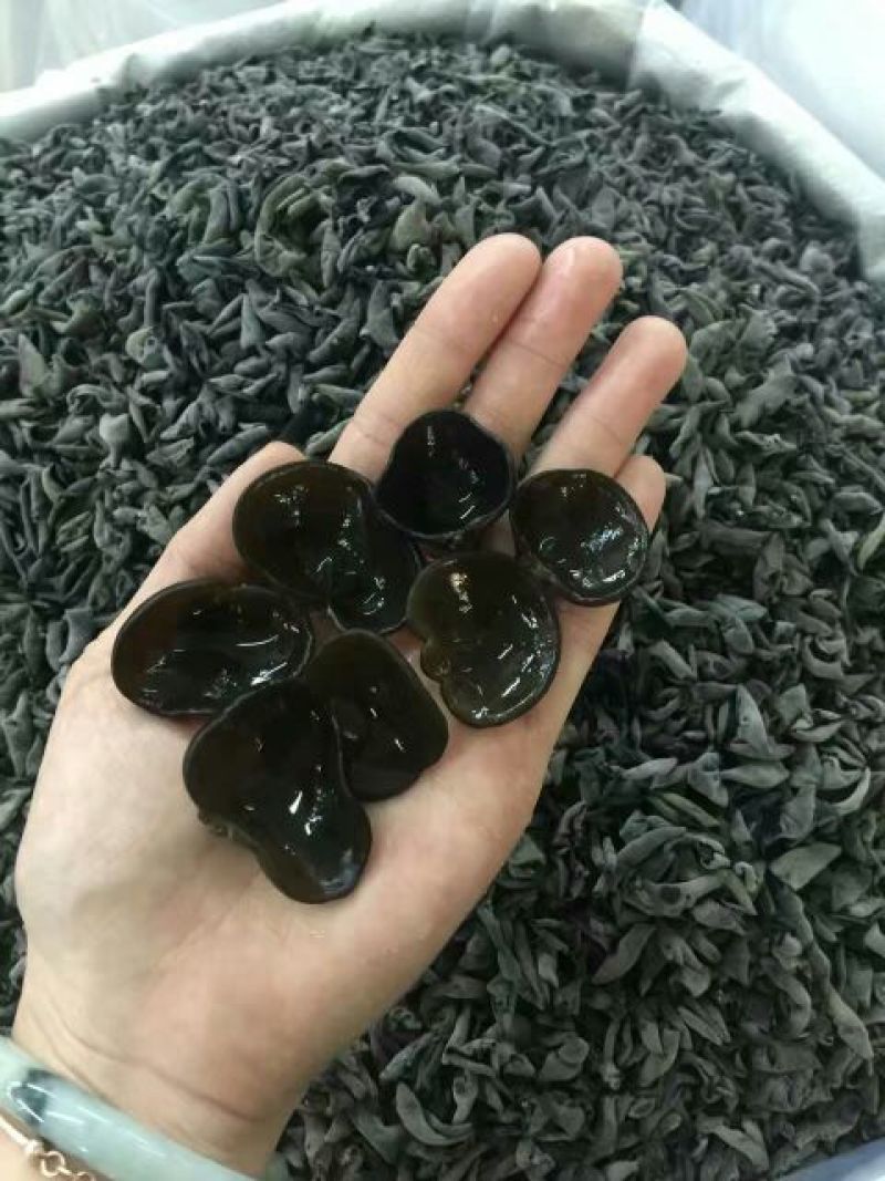黑山秋耳一级