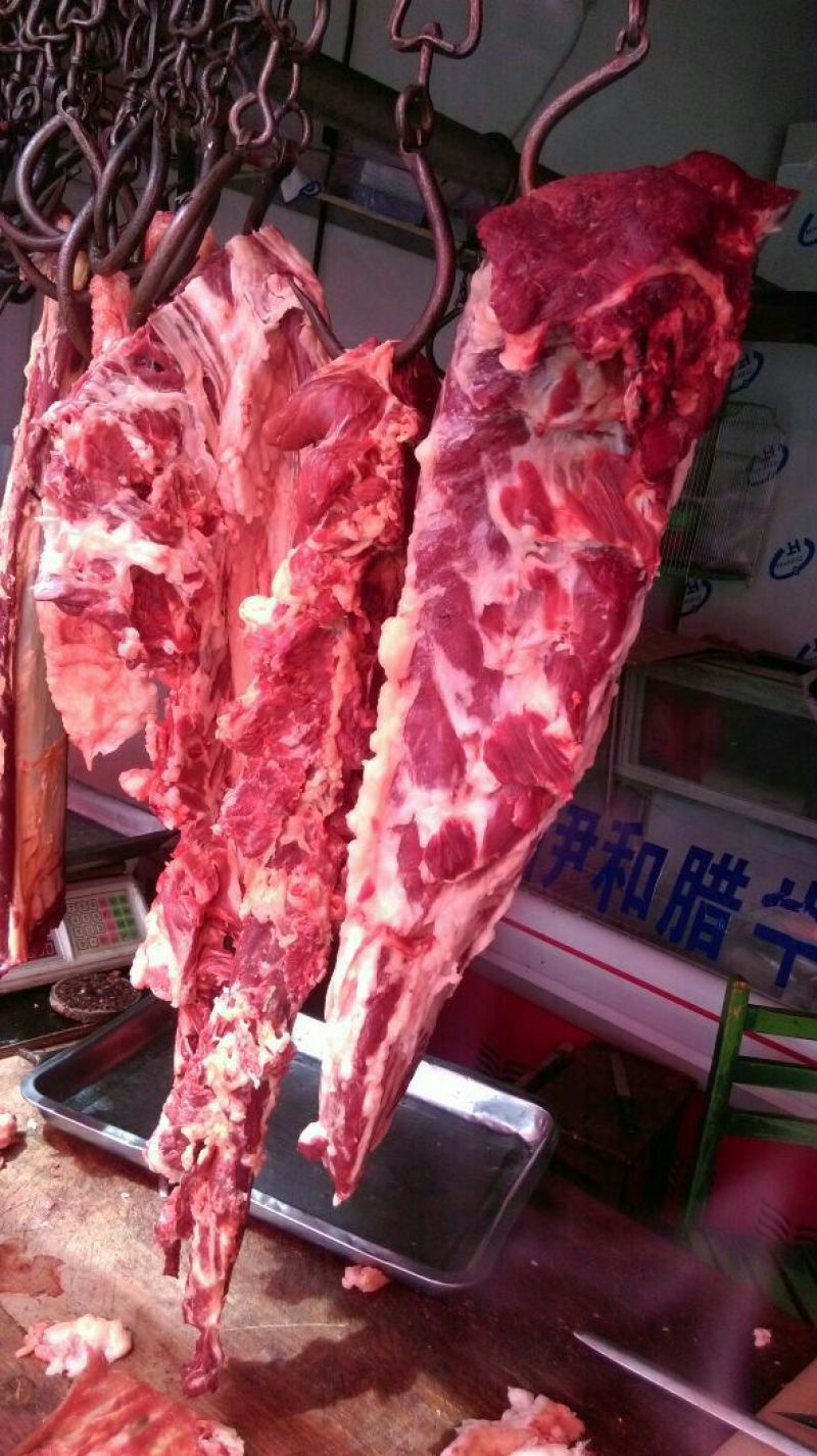 秦川牛100~300公斤