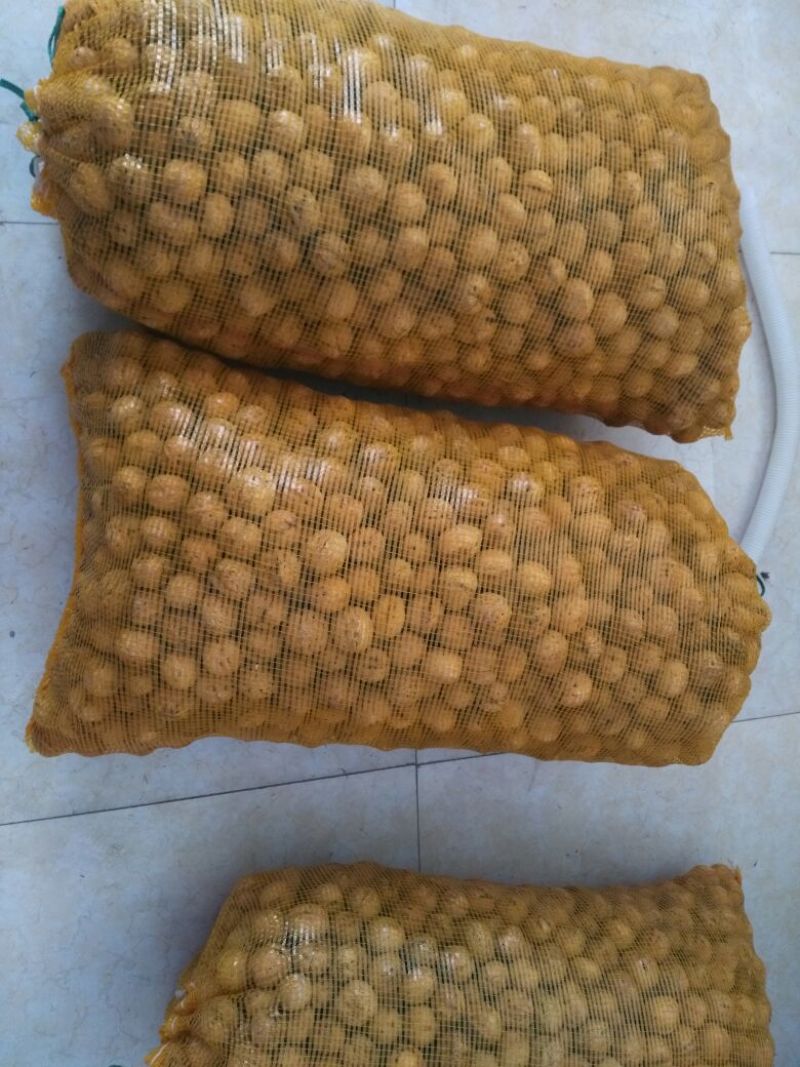 纸皮核桃去皮