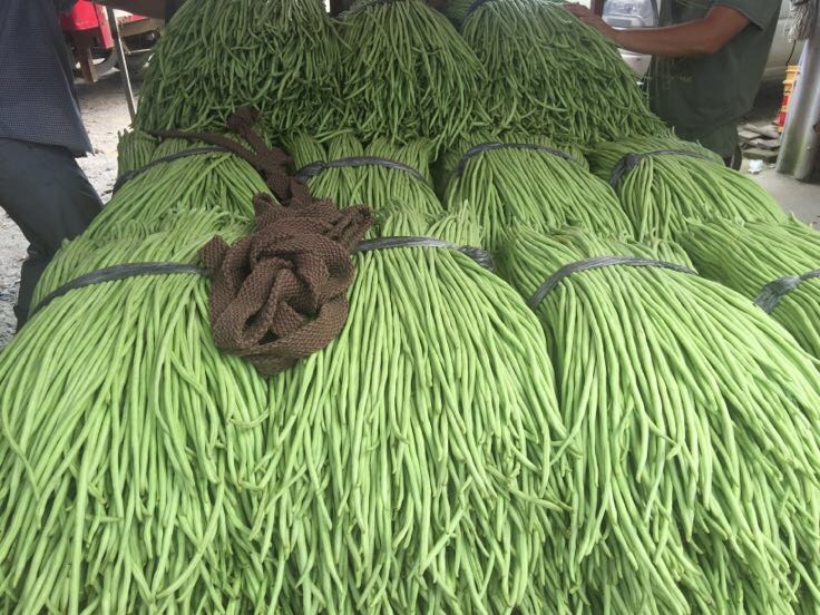 广东惠州市博罗县长豆角 60厘米以上批发_小农