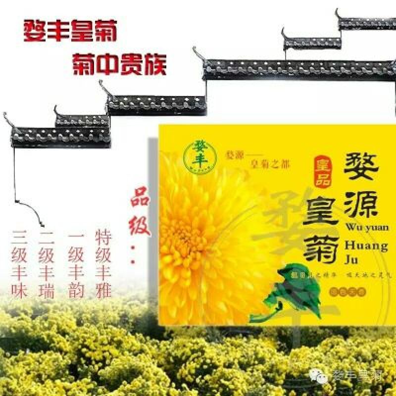皇菊茶四级