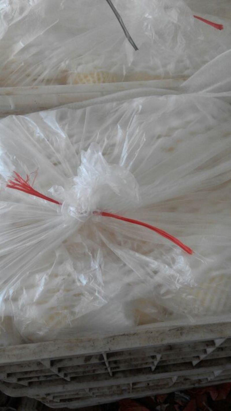皇冠梨250~300g纸箱