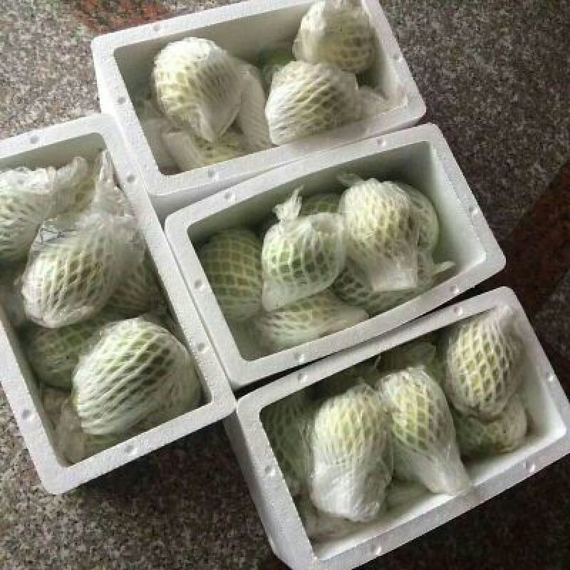 广西北流纯芭乐白心番石榴瘦身果热带水果，香糯软